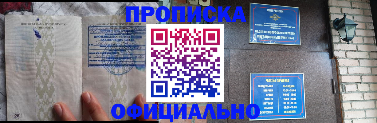 прописка поиск в Шлиссельбурге